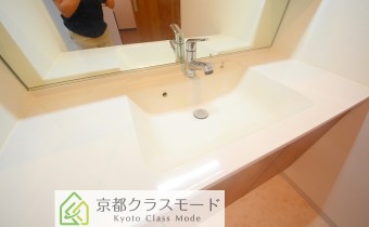 シャンプードレッサー