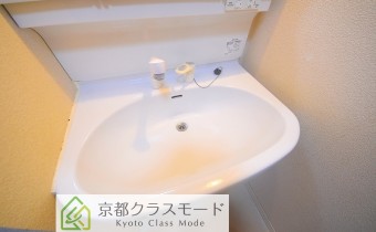 シャンプードレッサー