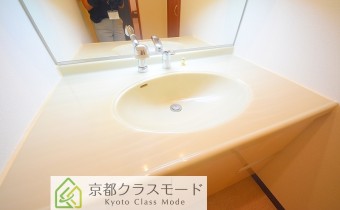 シャンプードレッサー