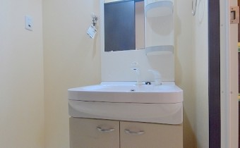 シャンプードレッサー