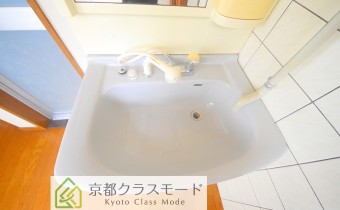 シャンプードレッサー