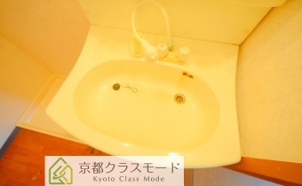 シャンプードレッサー