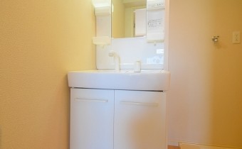 シャンプードレッサー