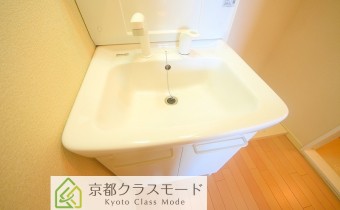 シャンプードレッサー