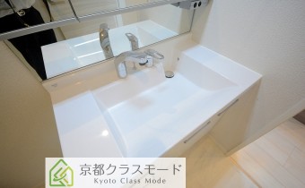 シャンプードレッサー