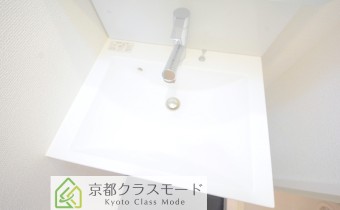 シャンプードレッサー