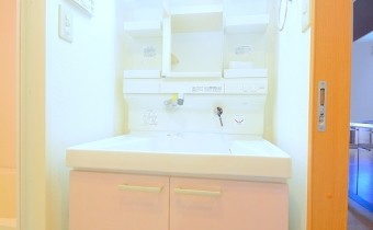 シャンプードレッサー
