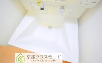 シャンプードレッサー