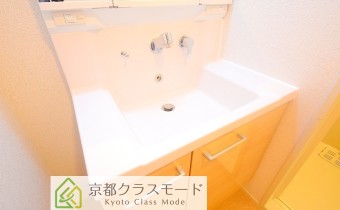 シャンプードレッサー
