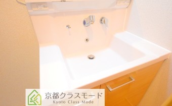 シャンプードレッサー