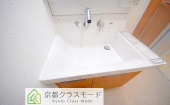 シャンプードレッサー
