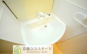 シャンプードレッサー