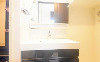 シャンプードレッサー