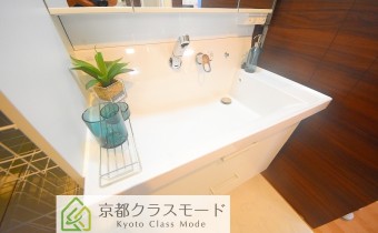 シャンプードレッサー