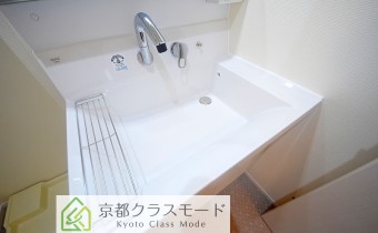 シャンプードレッサー