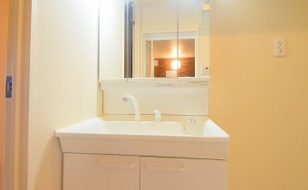 シャンプードレッサー