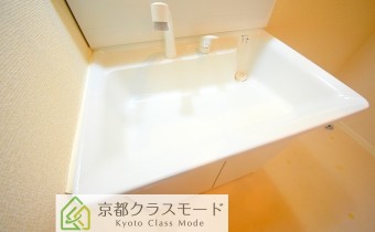 シャンプードレッサー