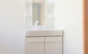 シャンプードレッサー