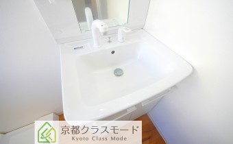 シャンプードレッサー