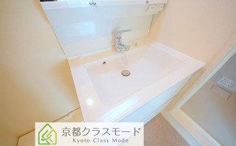 シャンプードレッサー