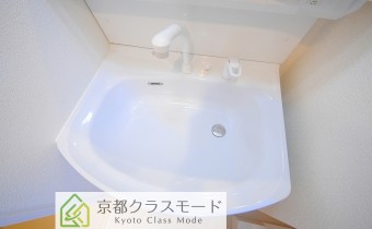 シャンプードレッサー
