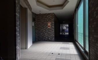 ホール
