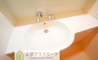 シャンプードレッサー