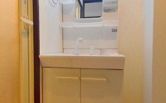 シャンプードレッサー