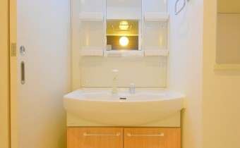 シャンプードレッサー