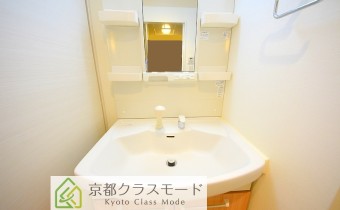 シャンプードレッサー