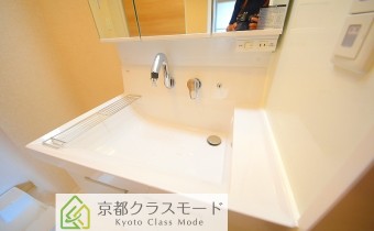 シャンプードレッサー