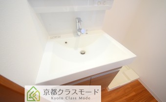 シャンプードレッサー