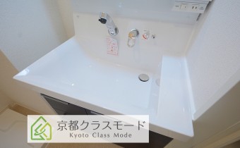 シャンプードレッサー