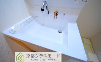 シャンプードレッサー