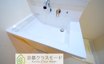 シャンプードレッサー