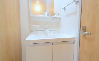 シャンプードレッサー