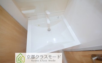 シャンプードレッサー