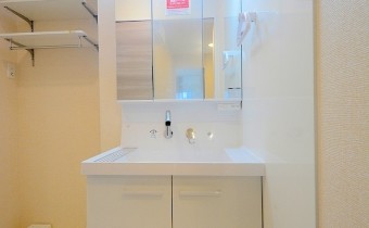 シャンプードレッサー
