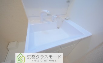 シャンプードレッサー
