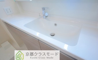 シャンプードレッサー