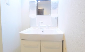 シャンプードレッサー