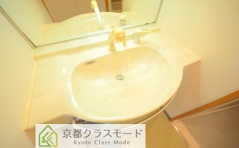 シャンプードレッサー