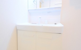 シャンプードレッサー