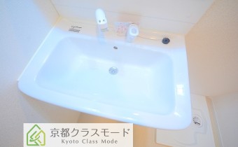 シャンプードレッサー