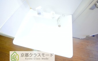 シャンプードレッサー