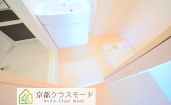シャンプードレッサー
