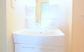 シャンプードレッサー