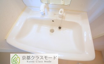 シャンプードレッサー