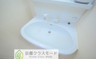シャンプードレッサー