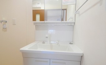 シャンプードレッサー